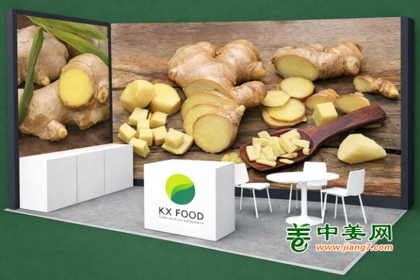 欧洲姜市承压二月迎中国优质姜 ()