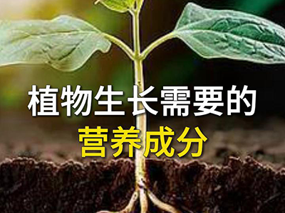 植物生长需要的营养成分