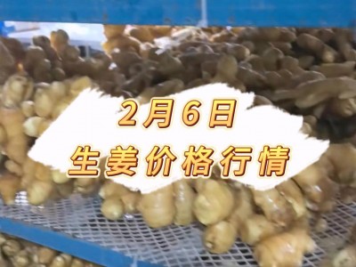 2月6日 生姜价格行情 ()