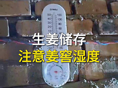 生姜储存注意姜窖湿度 ()