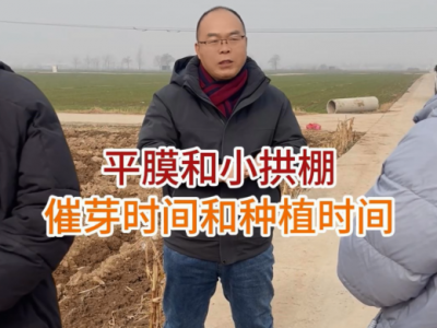 平膜和小拱棚催芽时间和种植时间 ()