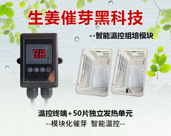 生姜催芽智能温控组培模块
