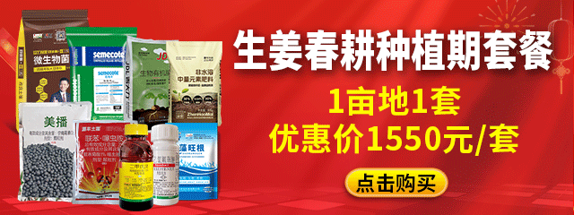 生姜春耕种植期套餐