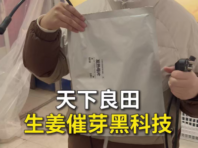 天下良田生姜催芽黑科技 ()