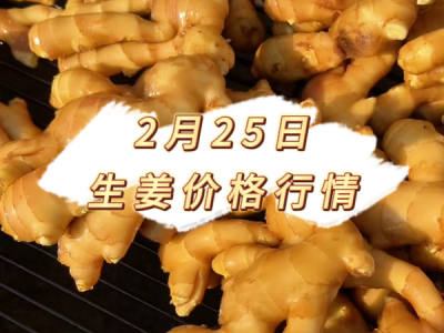 2月25日 生姜价格行情 ()