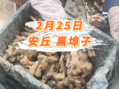 2月25日 安丘黑埠子价格行情 ()