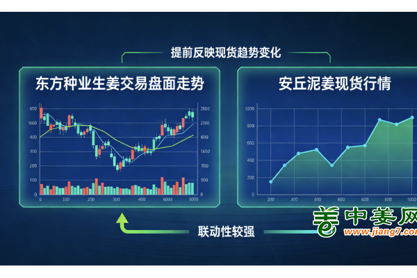 开年姜价稳硬，马年生姜行情该怎么看？ ()