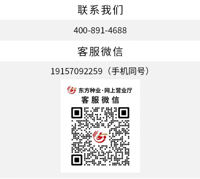 QQ图片20260226162653