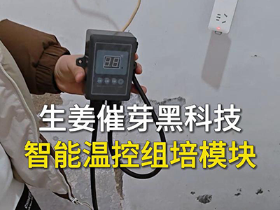 生姜催芽黑科技--智能温控组培模块 ()