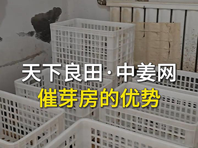 天下良田·中姜网催芽房的优势 ()