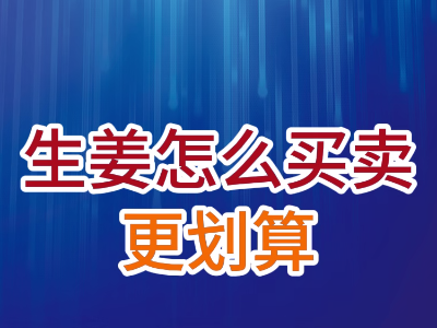 老石说姜：生姜怎么买卖更划算？ ()