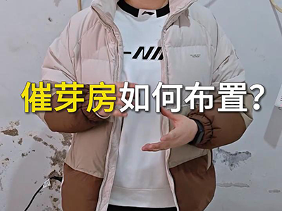 催芽房如何布置？ ()