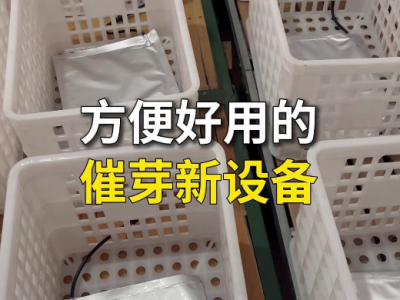 方便好用的催芽新设备 ()