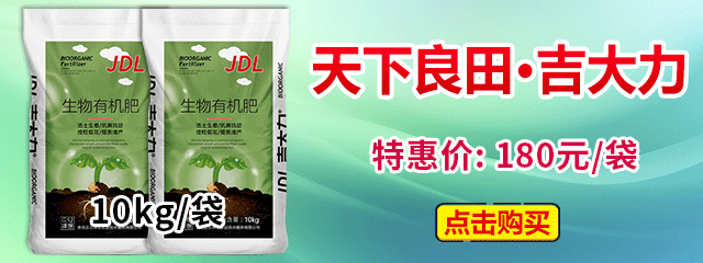 640-240-吉大力10kg