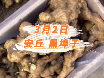 3月2日 安丘黑埠子价格行情 ()