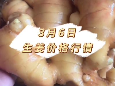 3月6日 生姜价格行情 ()
