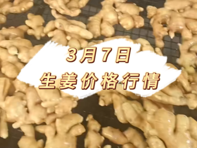 3月7日 生姜价格行情 ()
