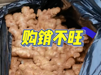 3月7日广州江南批发市场价格行情 ()