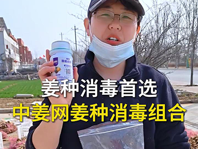 姜种消毒首选中姜网姜种消毒组合 ()