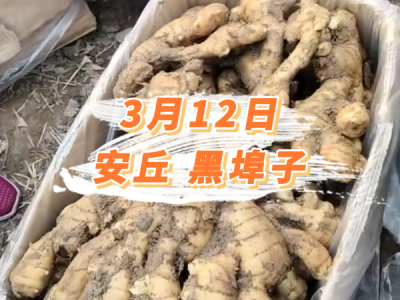 3月12日 安丘黑埠子价格行情 ()