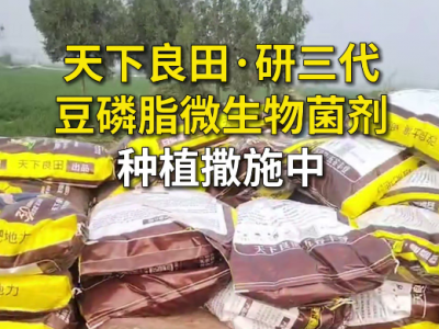 天下良田·研三代豆磷脂微生物菌剂种植撒施中... ()