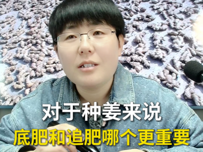 对于种姜来说底肥和追肥哪个更重要 ()