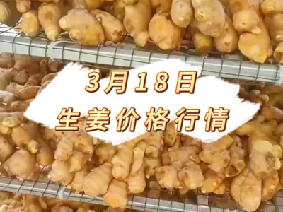 3月18日 生姜价格行情 ()
