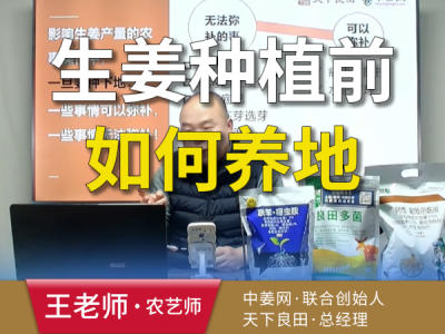 生姜种植前如何养地？ ()