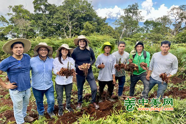 运费走高给姜市带来新压力 ()