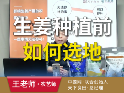 生姜种植前如何选地？ ()