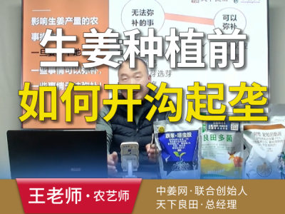 生姜种植前如何开沟起垄？ ()