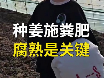 种姜施粪肥 腐熟是关键 ()