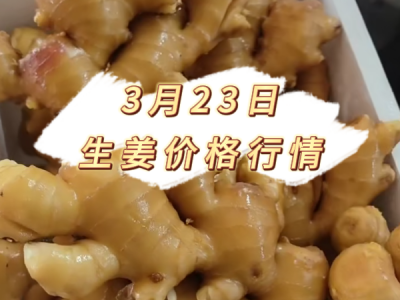 3月23日 生姜价格行情 ()