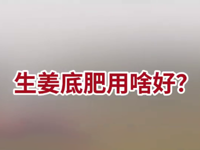 生姜底肥用啥好？ ()