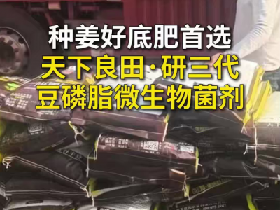 种姜好底肥首选天下良田·研三代豆磷脂微生物菌剂 ()