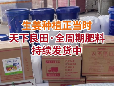 生姜种植正当时天下良田全周期肥料持续发货中... ()