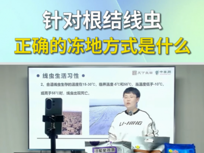 针对根结线虫正确的冻地方式是什么？ ()