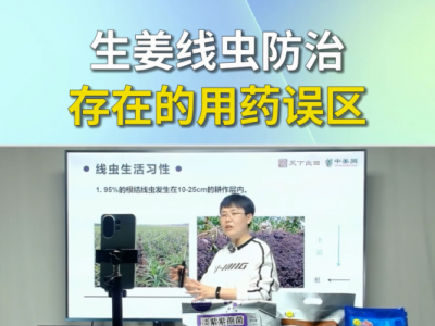 生姜线虫防治存在的用药误区 ()