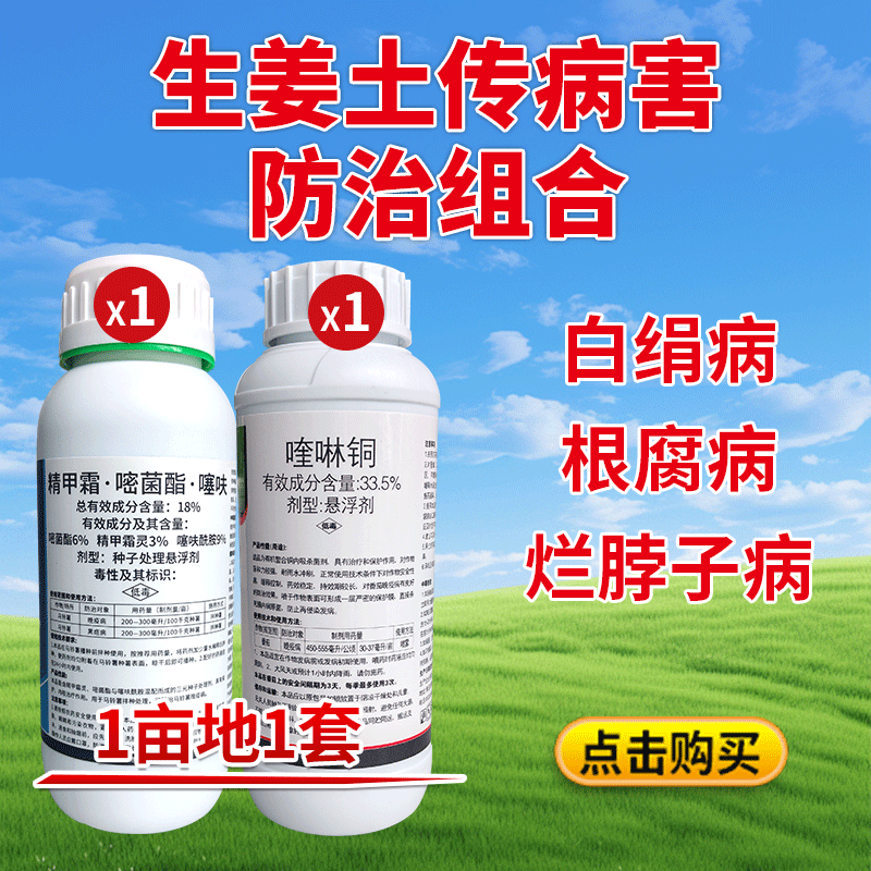 生姜土传病害防治组合800-800