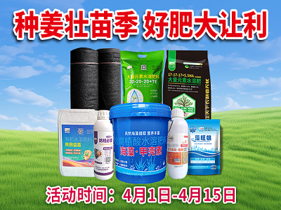 种姜壮苗季 好肥大让利 ()