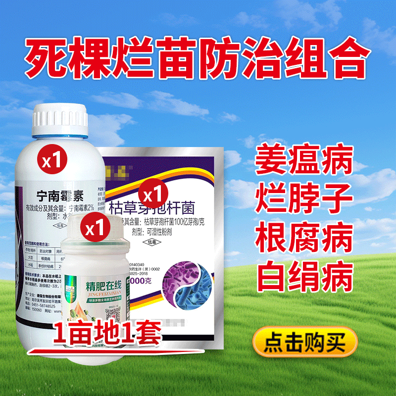 死棵烂苗防治组合800-800