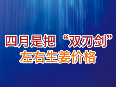 老石说姜：四月是把“双刃剑”左右生姜价格 ()