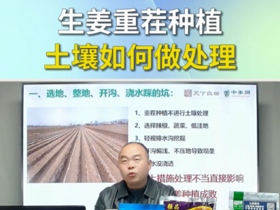 生姜重茬种植土壤如何做处理？ ()
