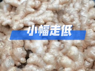 4月3日广州江南批发市场价格行情 ()
