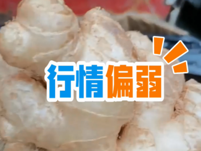 4月10日广州江南批发市场价格行情