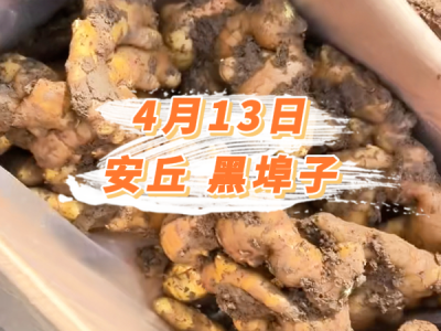 4月13日 安丘黑埠子价格行情 ()