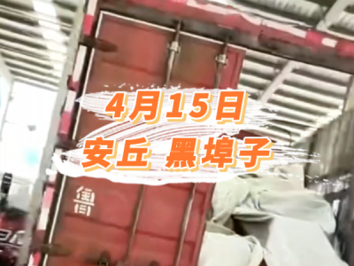 4月15日 安丘黑埠子价格行情 ()