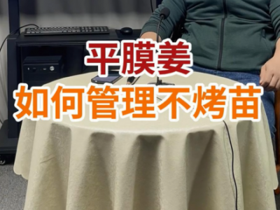 平膜姜如何管理不烤苗？ ()