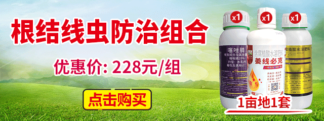 根结线虫防治组合