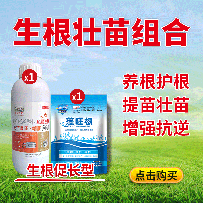 生根壮苗组合800-800